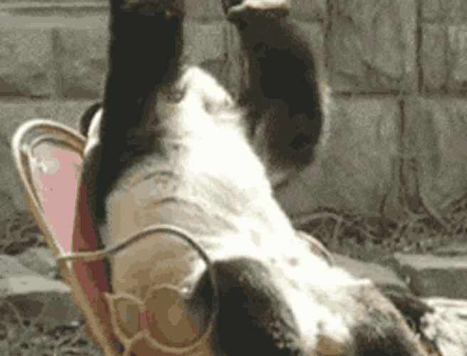 Oh No Reaction GIF